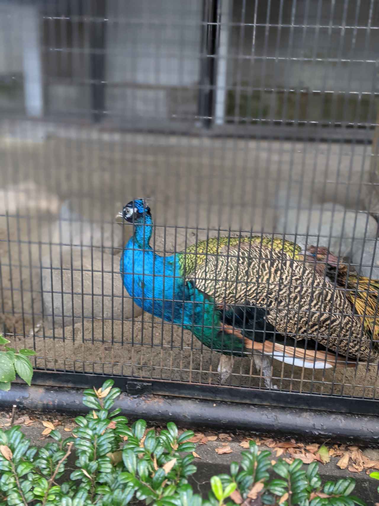 画像2: www.instagram.com