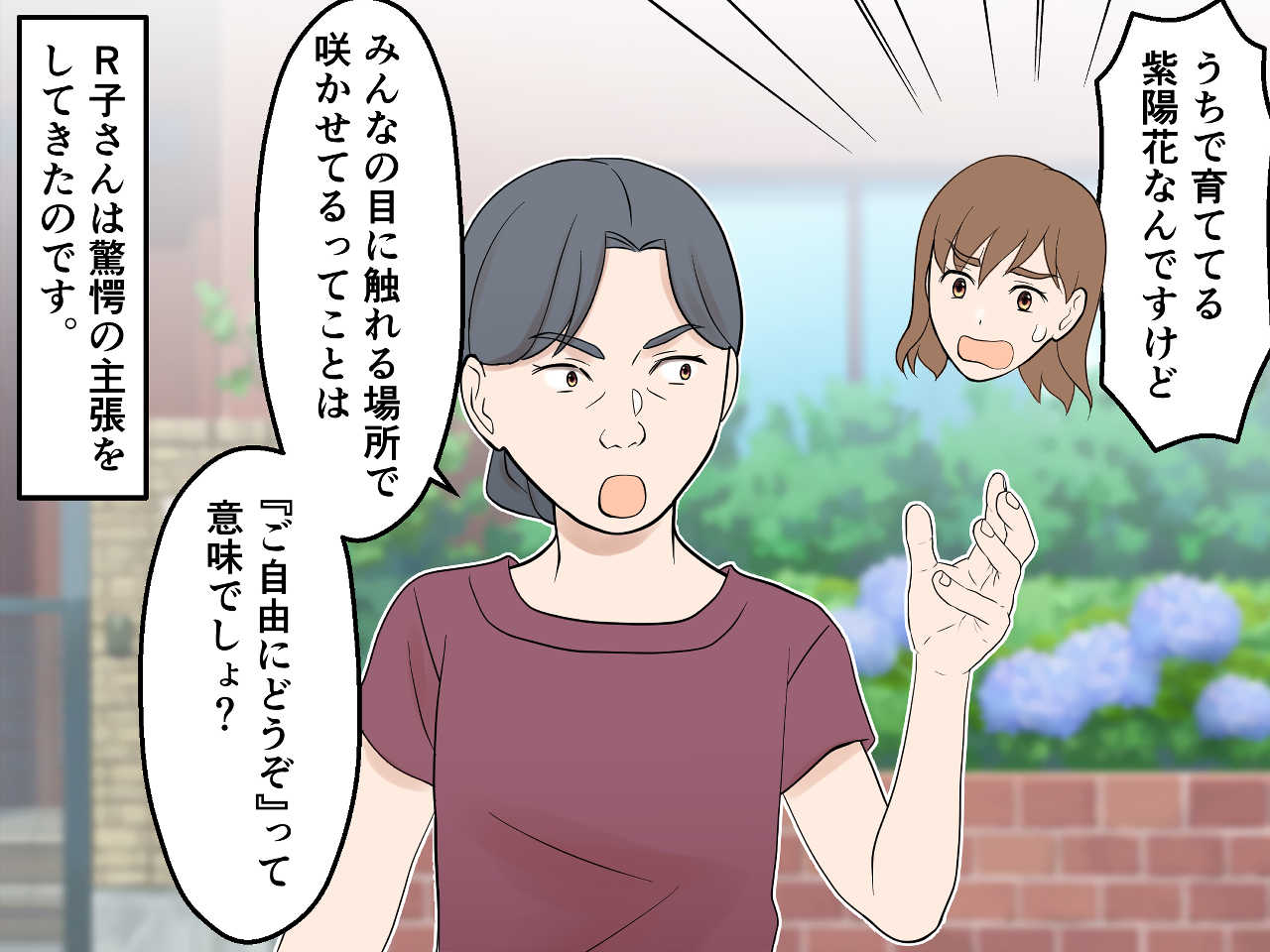 画像3: 玄関先の紫陽花が満開