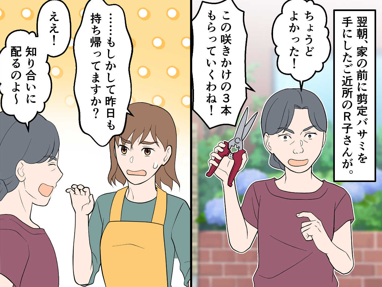 画像2: 玄関先の紫陽花が満開