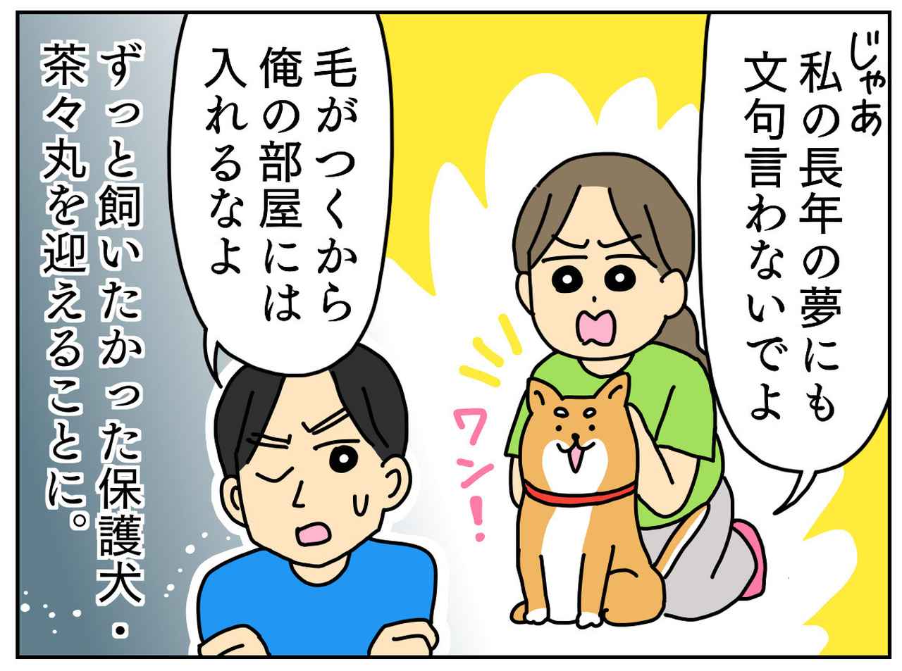 画像2: 1枚数万円もするTシャツを平然と集める夫