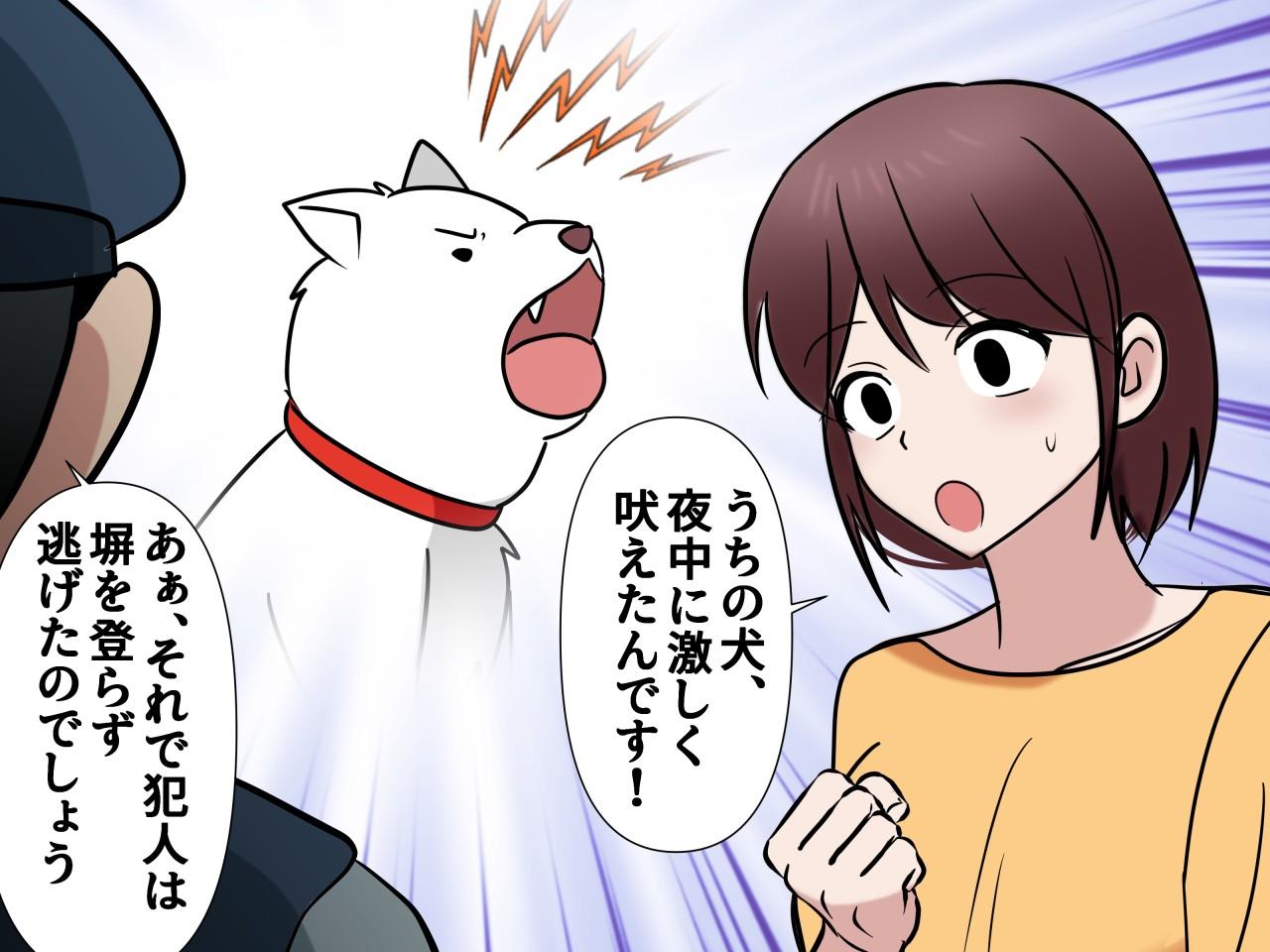 画像3: 夜に突然吠え出した愛犬