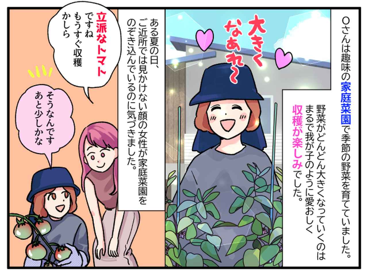 画像1: 念願の収穫だったのに