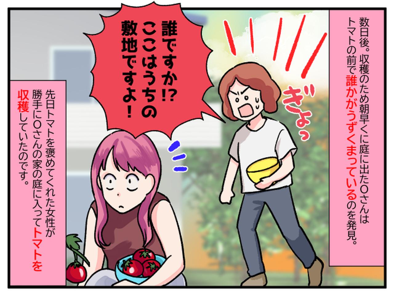 画像3: 念願の収穫だったのに