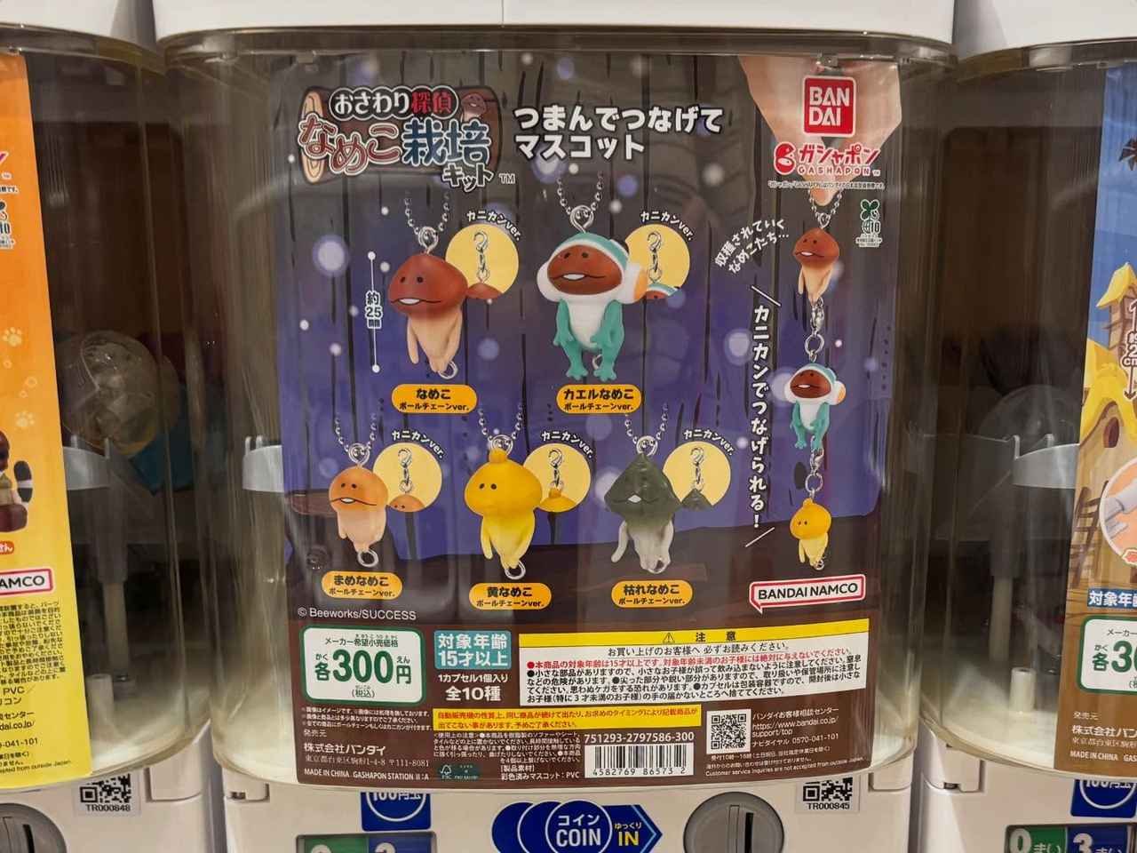 画像2: 出典：ftn_pics