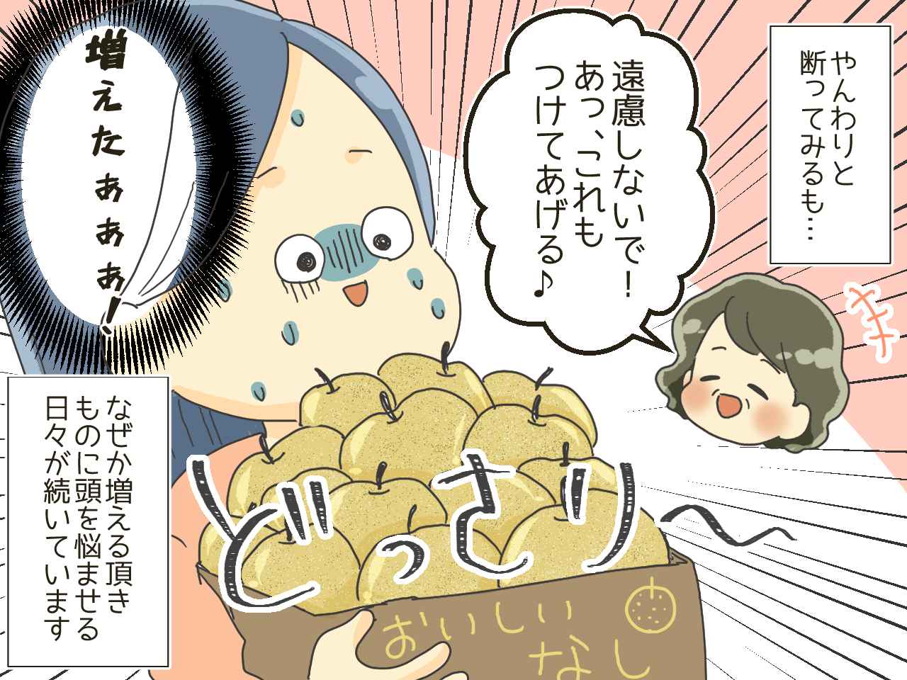 画像4: 「お気持ちだけで充分です！」お土産を大量にくれる義母にお手上げ！？