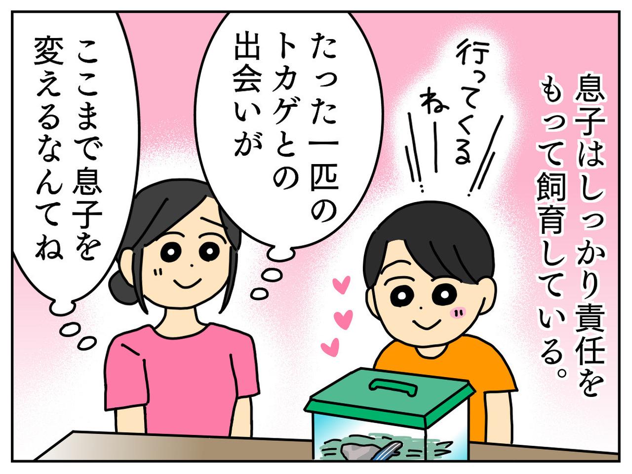 画像4: ゲームばかりに夢中だった息子が……