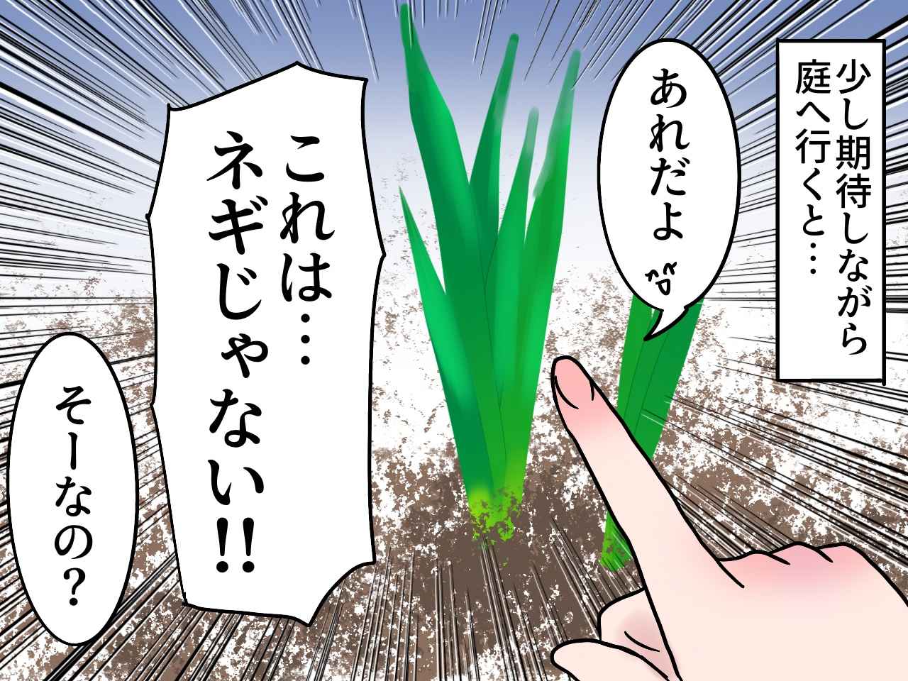 画像3: 料理初心者の姪