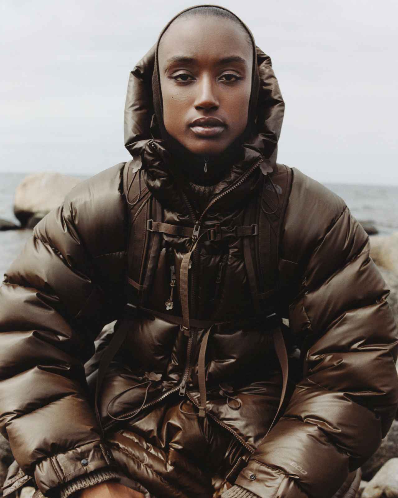 画像1: TNF × Cecilie Bahnsen 2008ヒマラヤンジャケット￥209,000（税込）