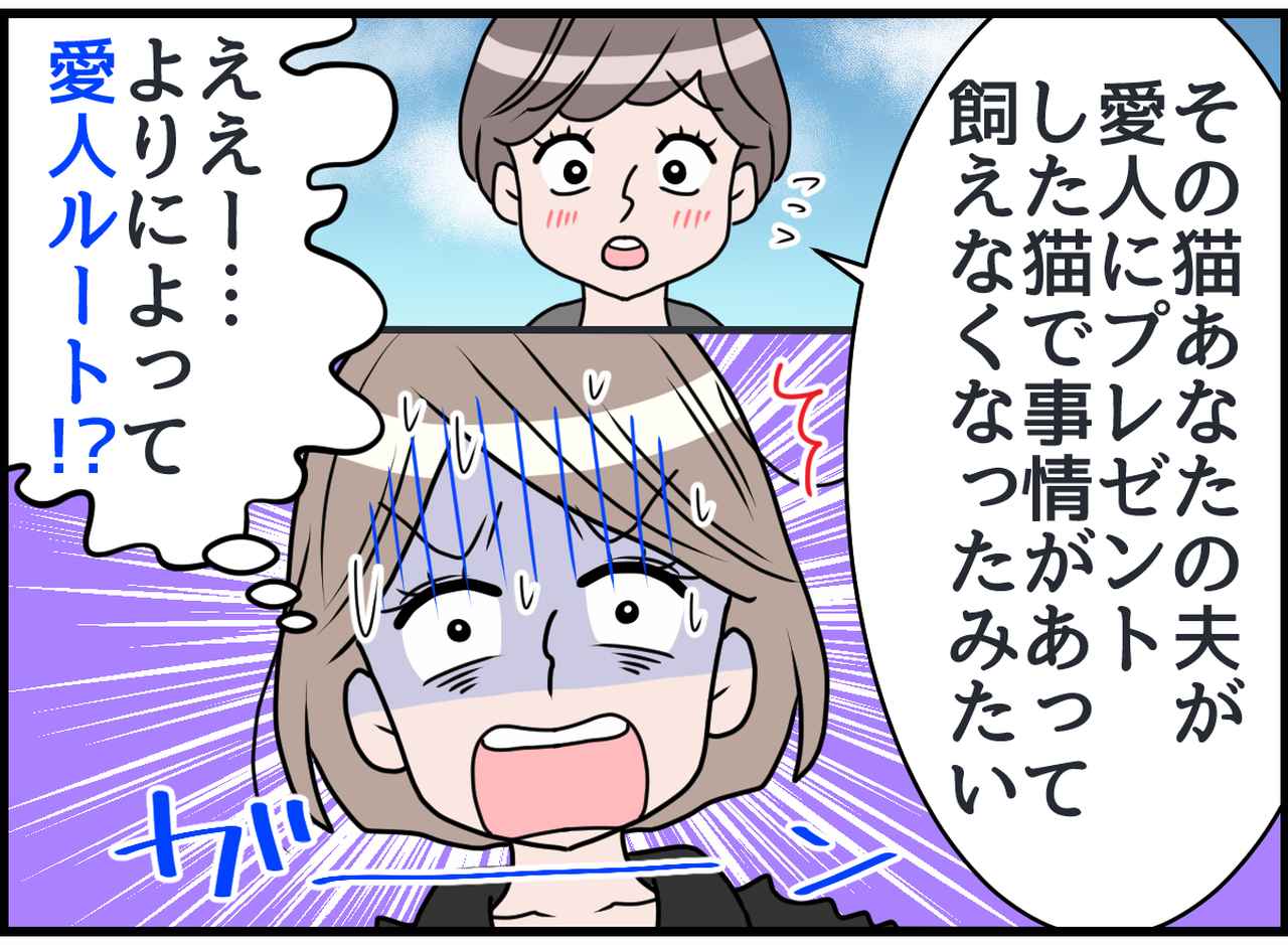 画像3: 夫よふざけるな！ 猫の真実！ それでも君に罪はない！！