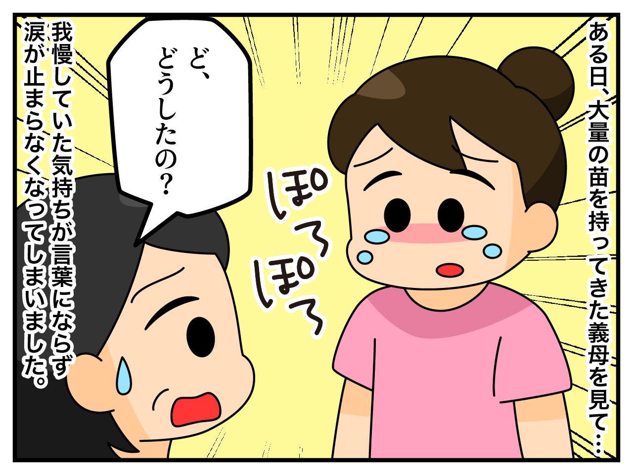 画像3: あこがれのガーデニング