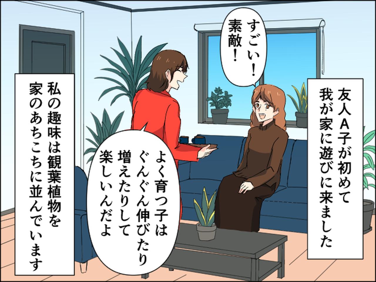 画像1: 「増えたやつちょうだい！」観葉植物を友人にプレゼントしたら……