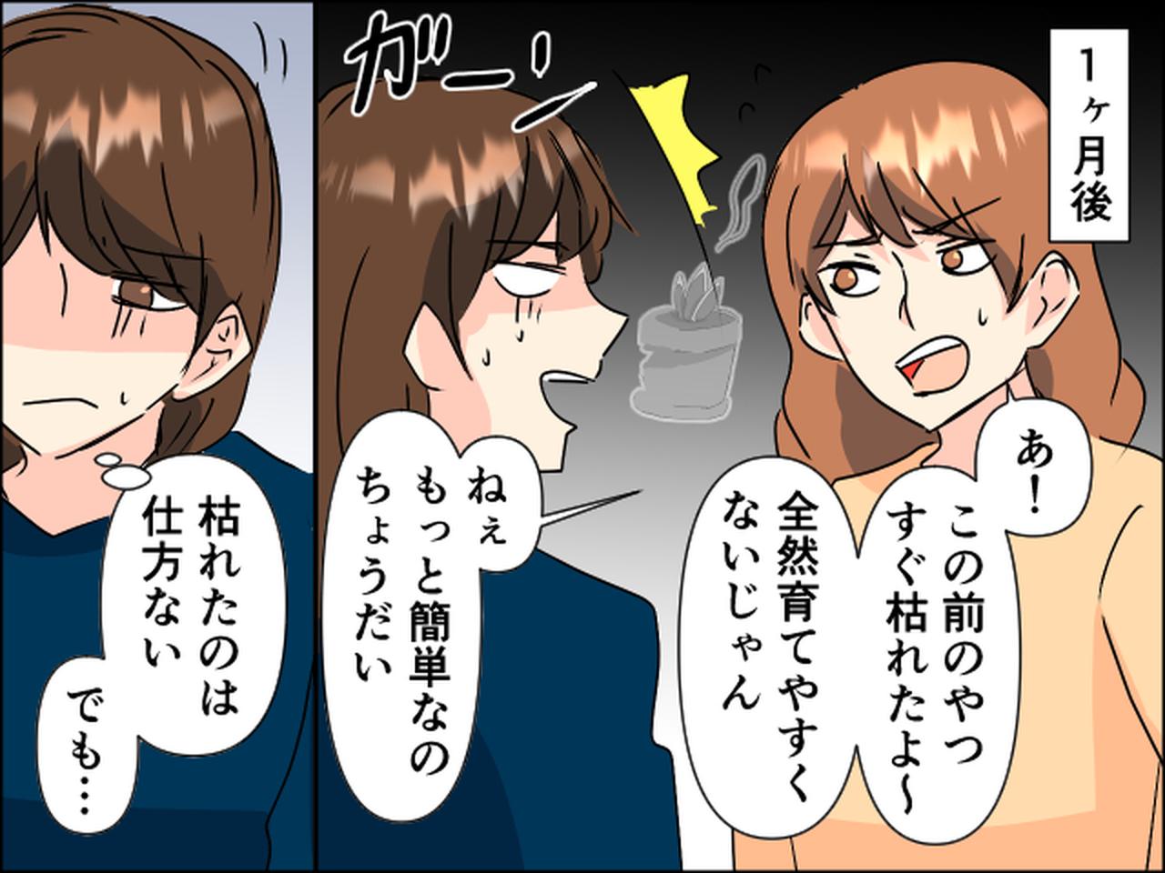 画像3: 「増えたやつちょうだい！」観葉植物を友人にプレゼントしたら……