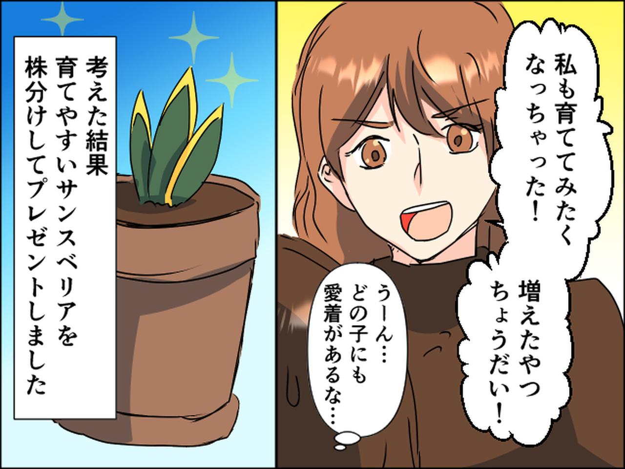 画像2: 「増えたやつちょうだい！」観葉植物を友人にプレゼントしたら……