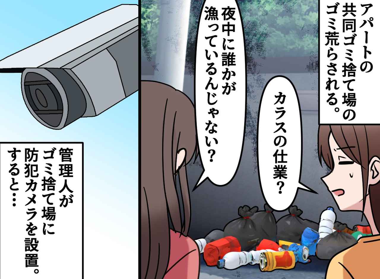 画像: ゴミ捨て場を荒らすのは、誰？ 防犯カメラに映る70代の女性。管理人から『胸が苦しくなる真相』が