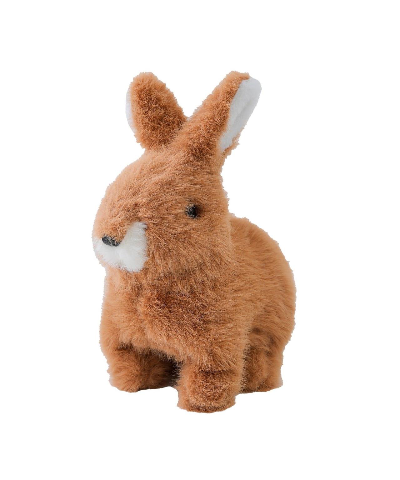 画像2: 出典：3COINS