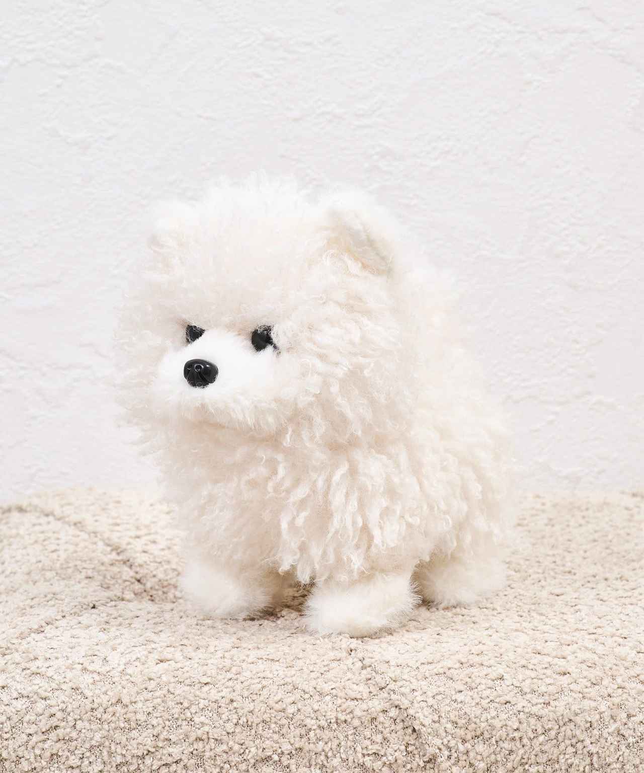 画像1: 出典：3COINS