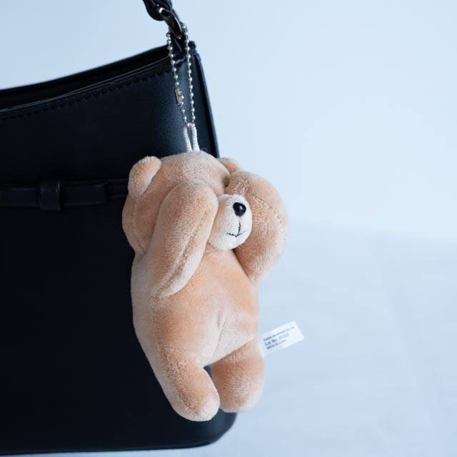 画像: 出典：ftn_pics