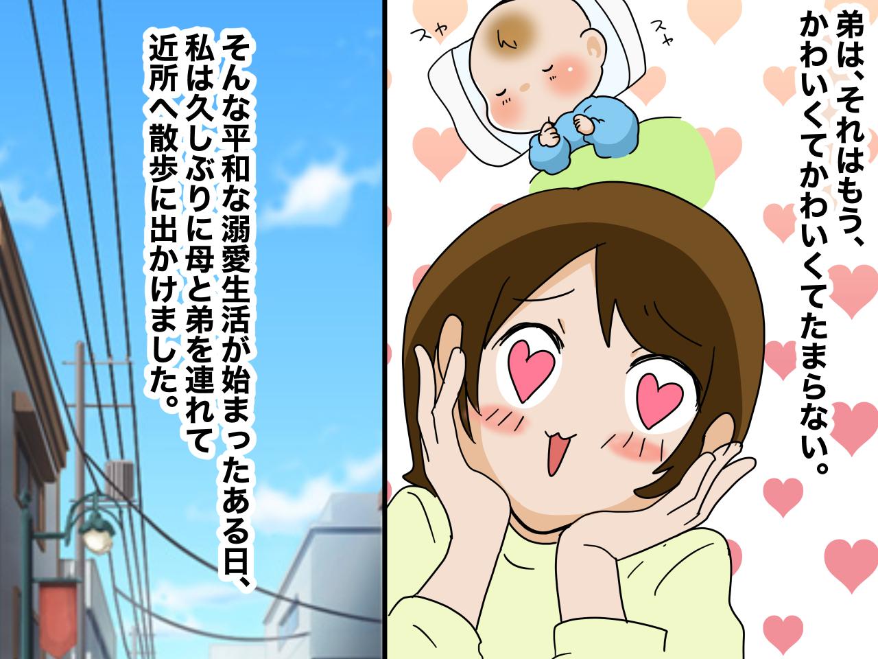 画像1: 高校生になって弟が生まれた