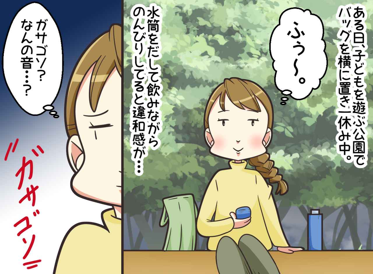 画像1: それ、私のバッグですが？