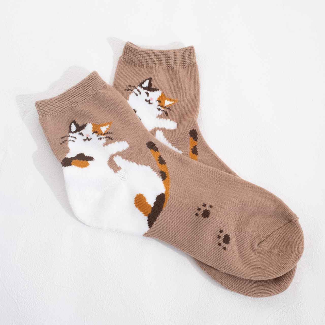 画像4: 出典：ftn_pics