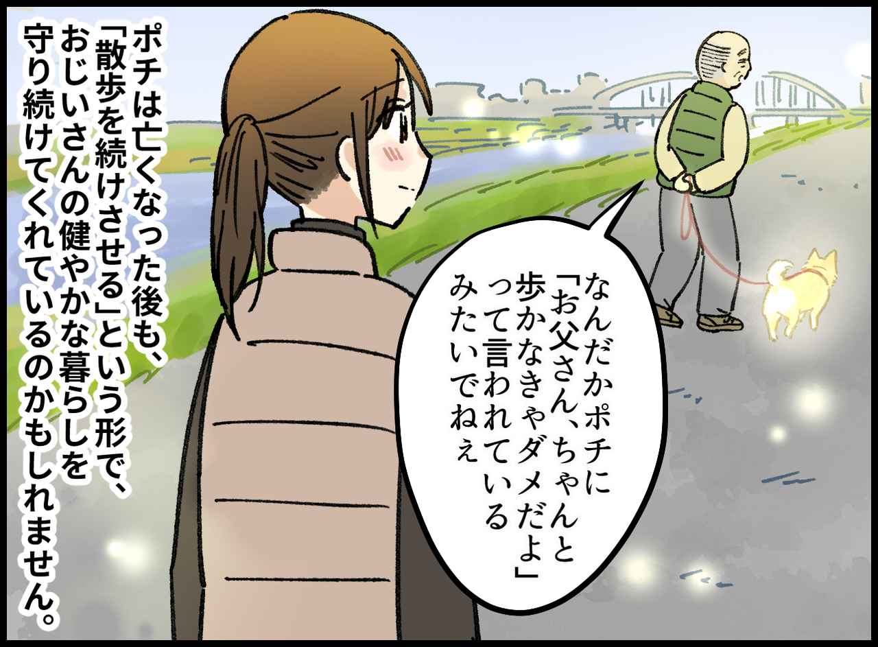 画像4: 愛犬ポチとの散歩