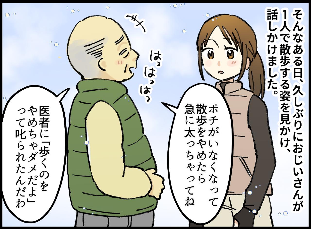 画像3: 愛犬ポチとの散歩