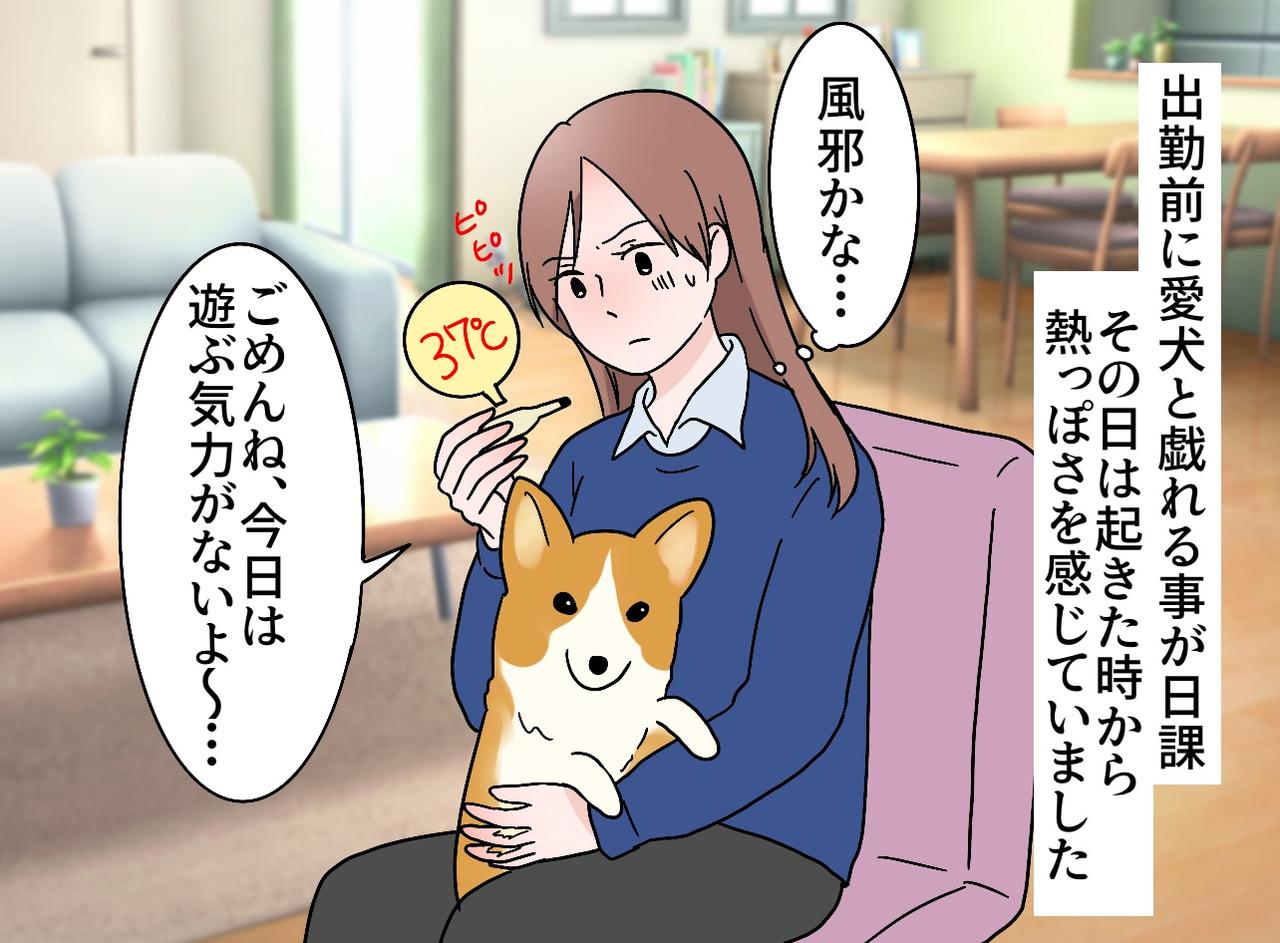 画像1: 愛犬と戯れる朝の日課
