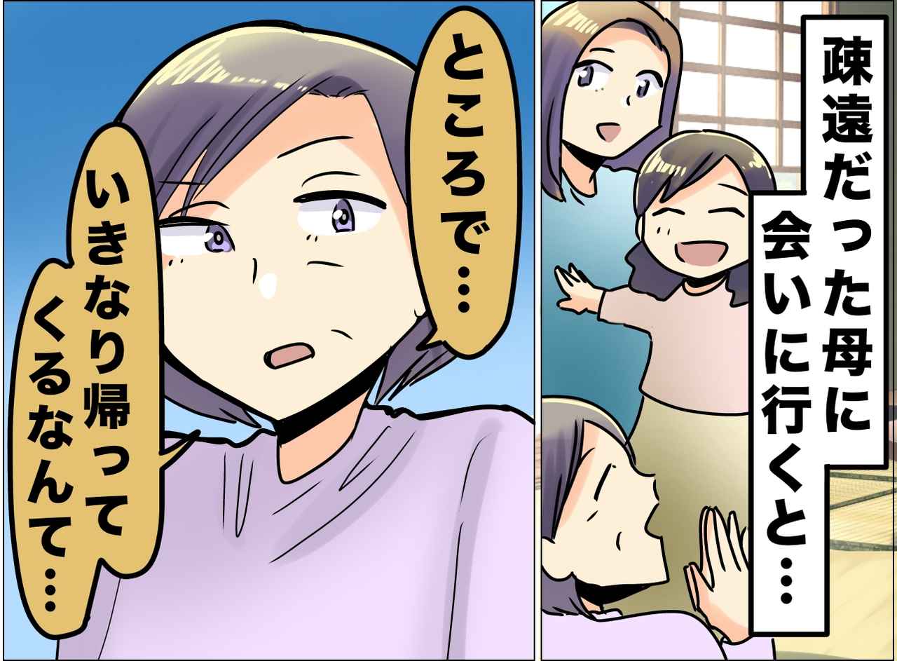 画像: 「親子でも分かり合えないんだ」夫の借金で子連れ離婚し、数年ぶりに再会した母が放った『残酷な一言』