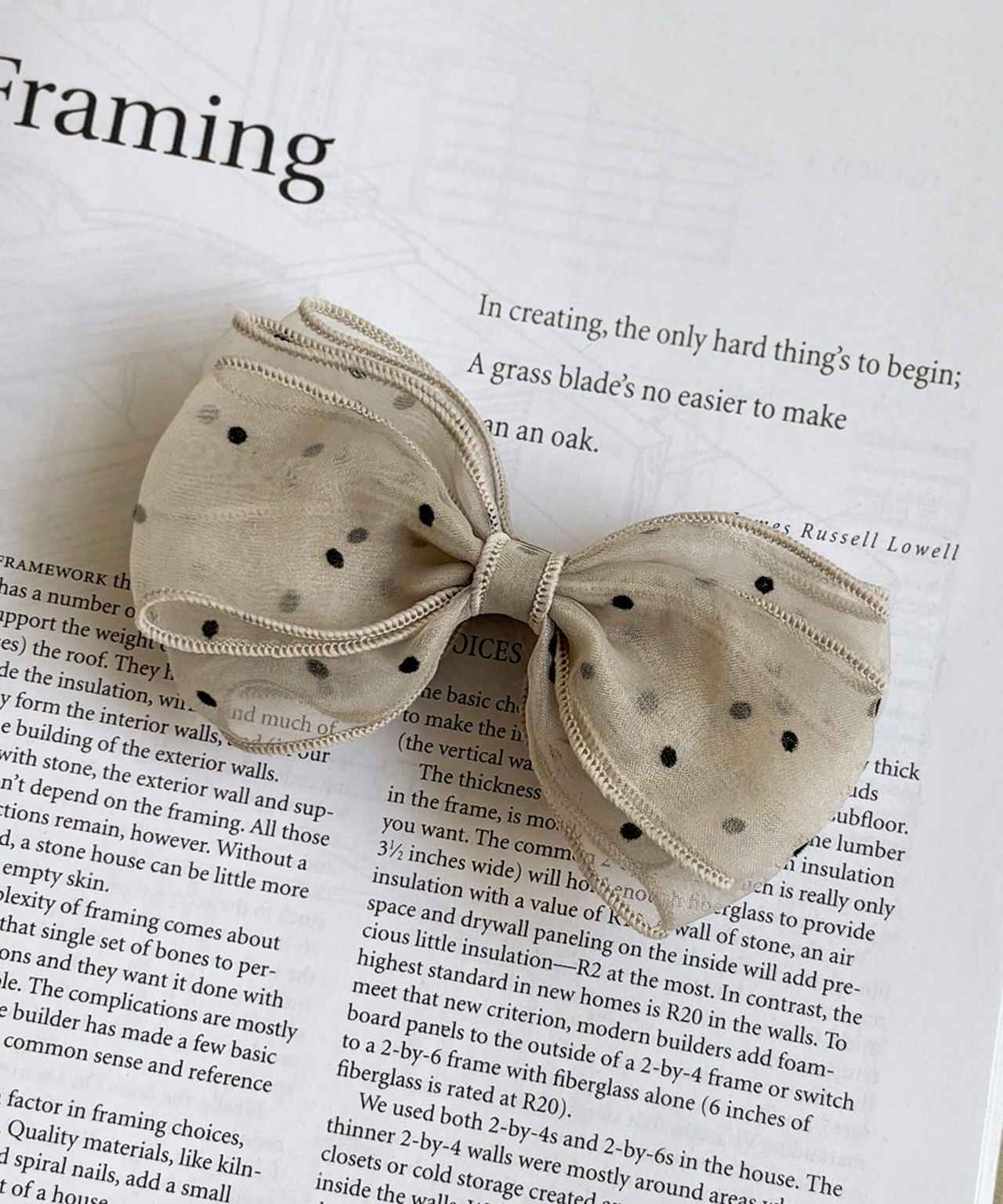 画像3: 出典：3COINS