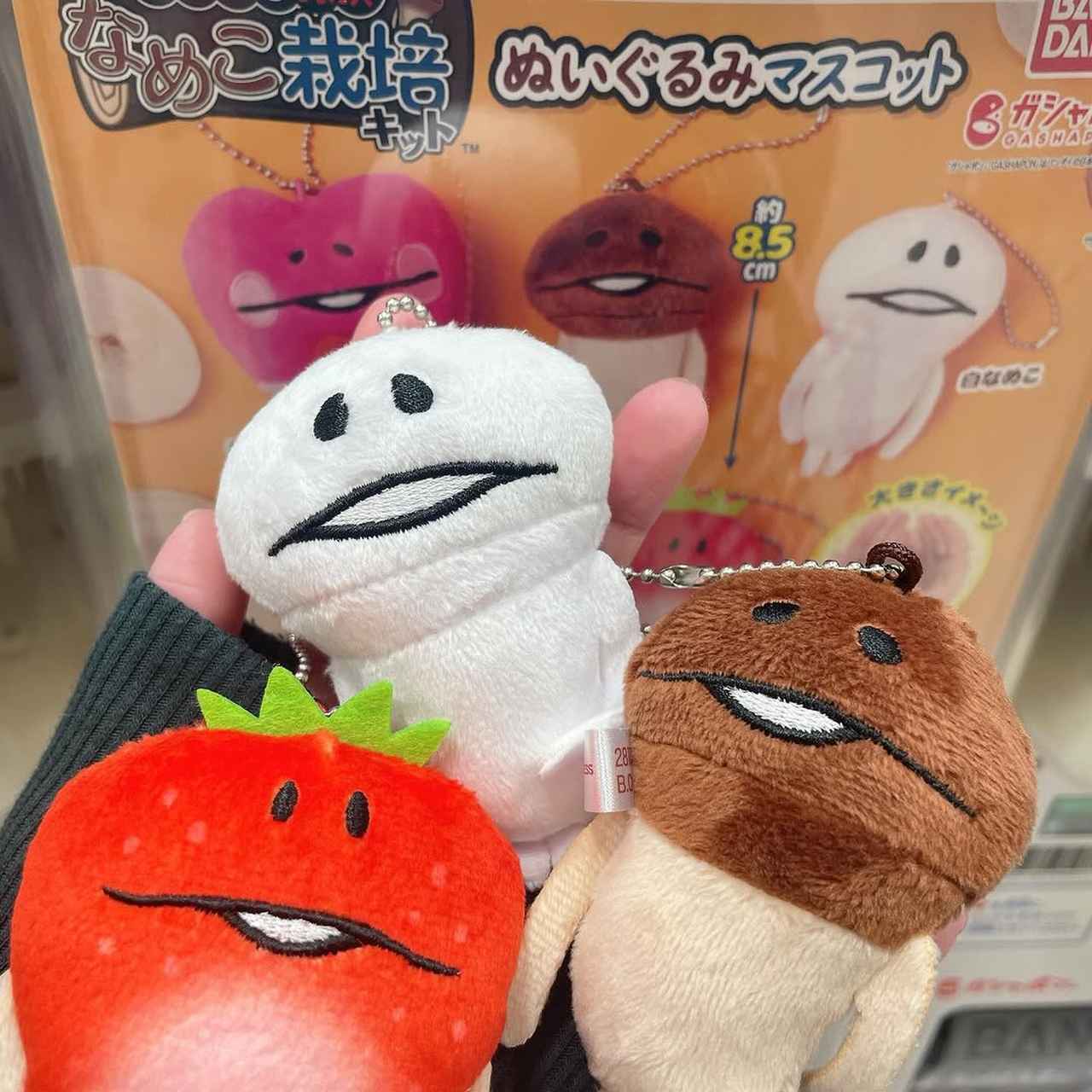 画像1: 出典：Instagram