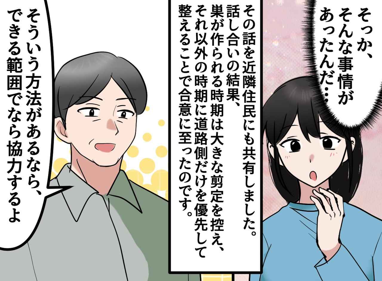 画像4: 住民に指摘されても庭木を剪定しないご近所さんのある理由