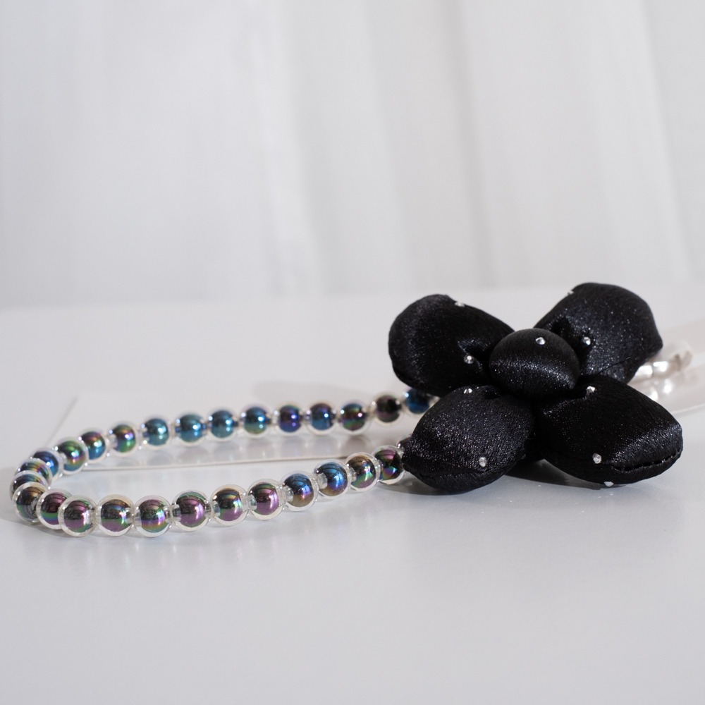 画像1: 出典：ftn_pics