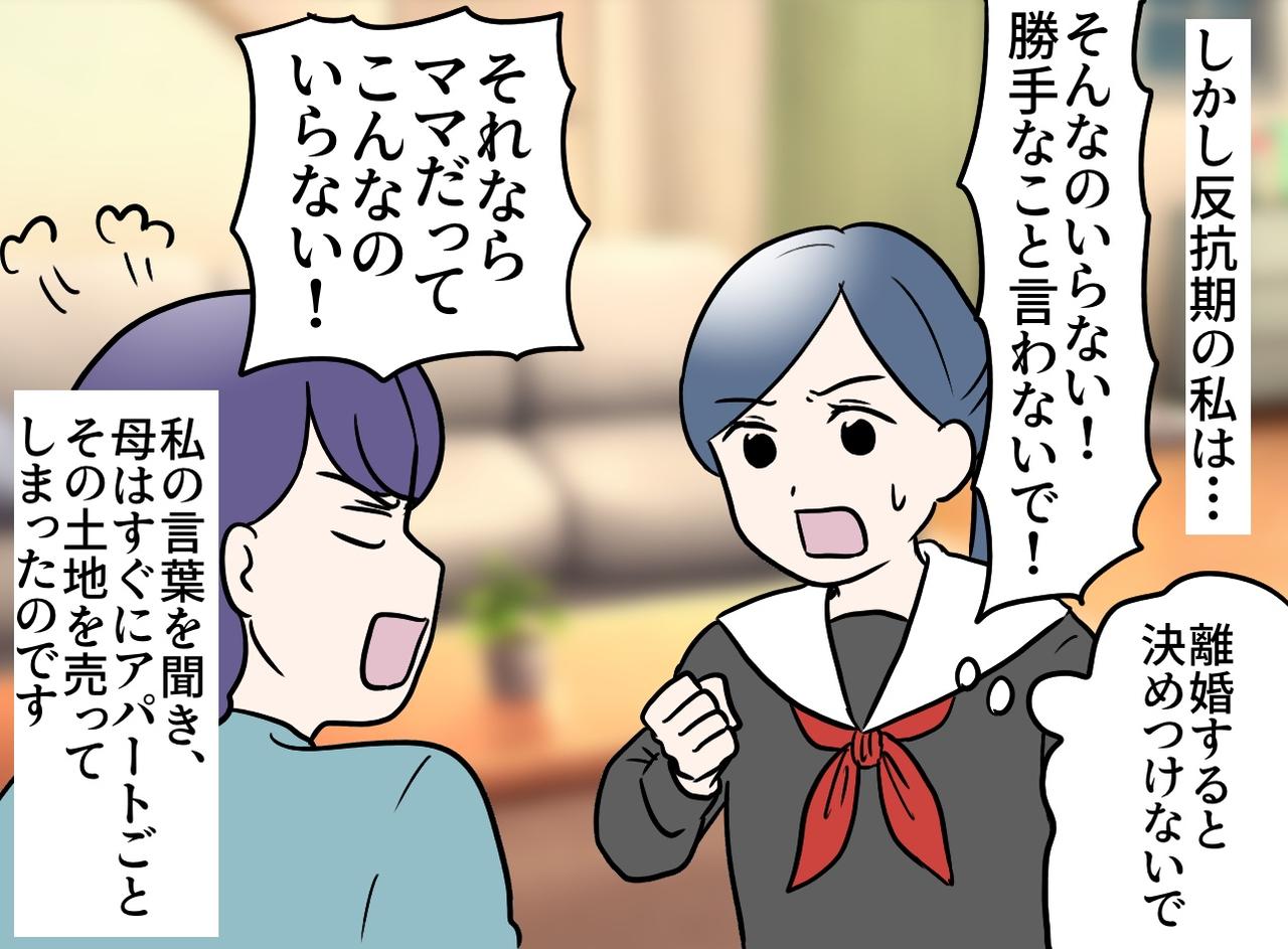 画像2: 隣の土地を購入した母の想い