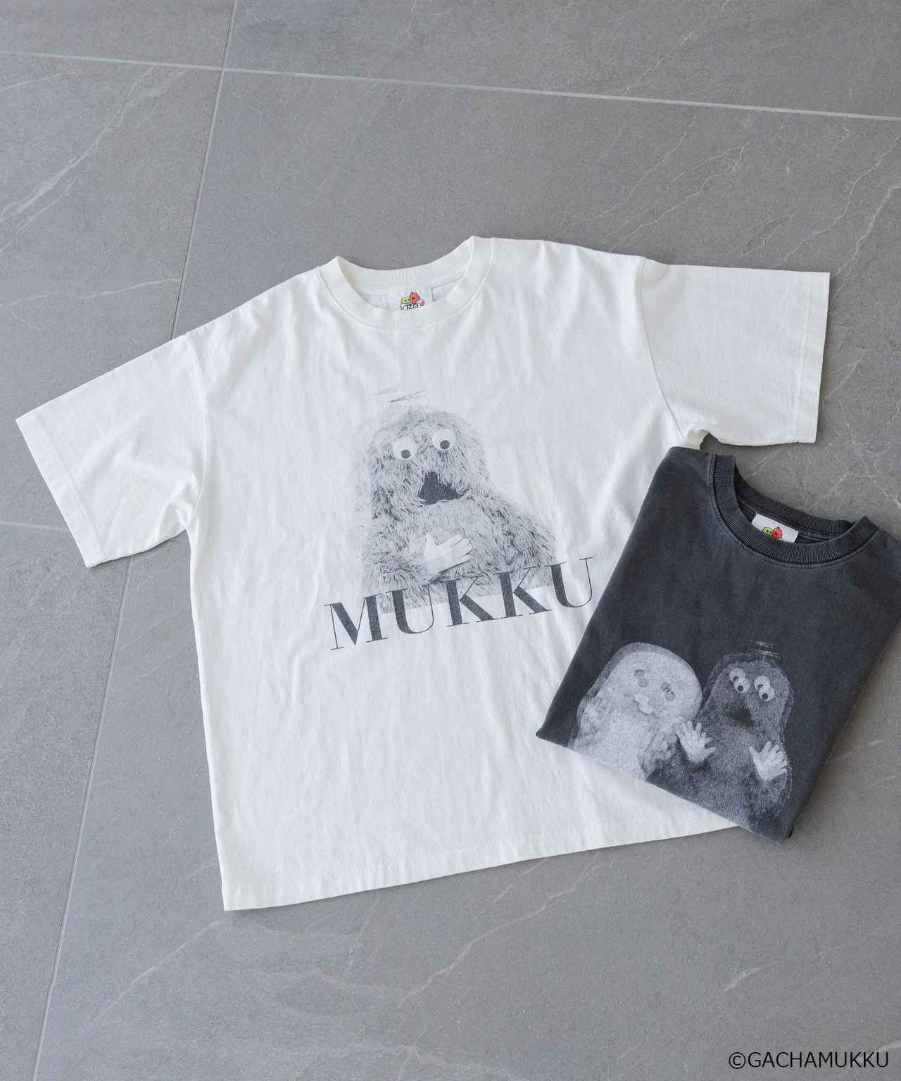 画像1: 出典：and ST