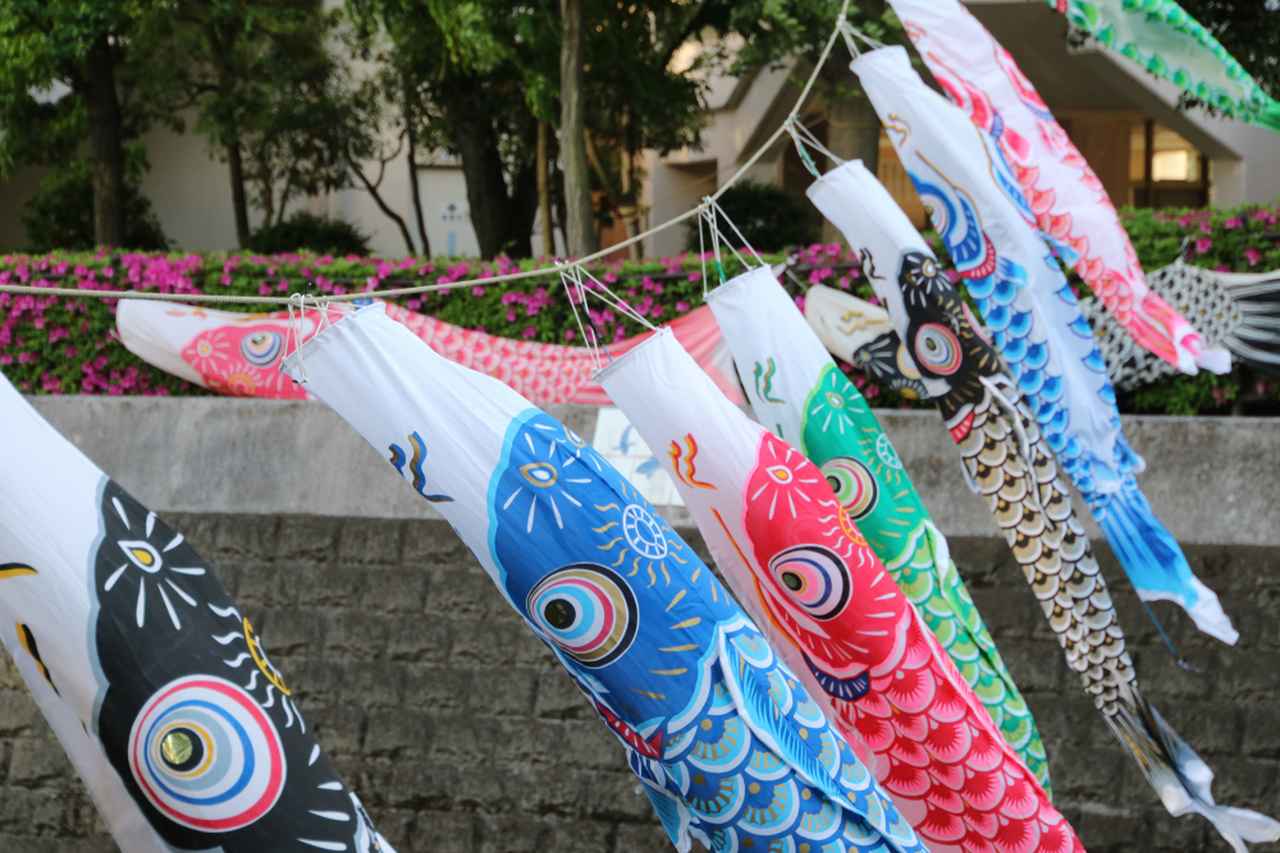 画像: 嫁いだ私を震え上がらせた【巨大鯉のぼり】優雅な光景の『壮絶な裏側』に「家族の執念を見た」