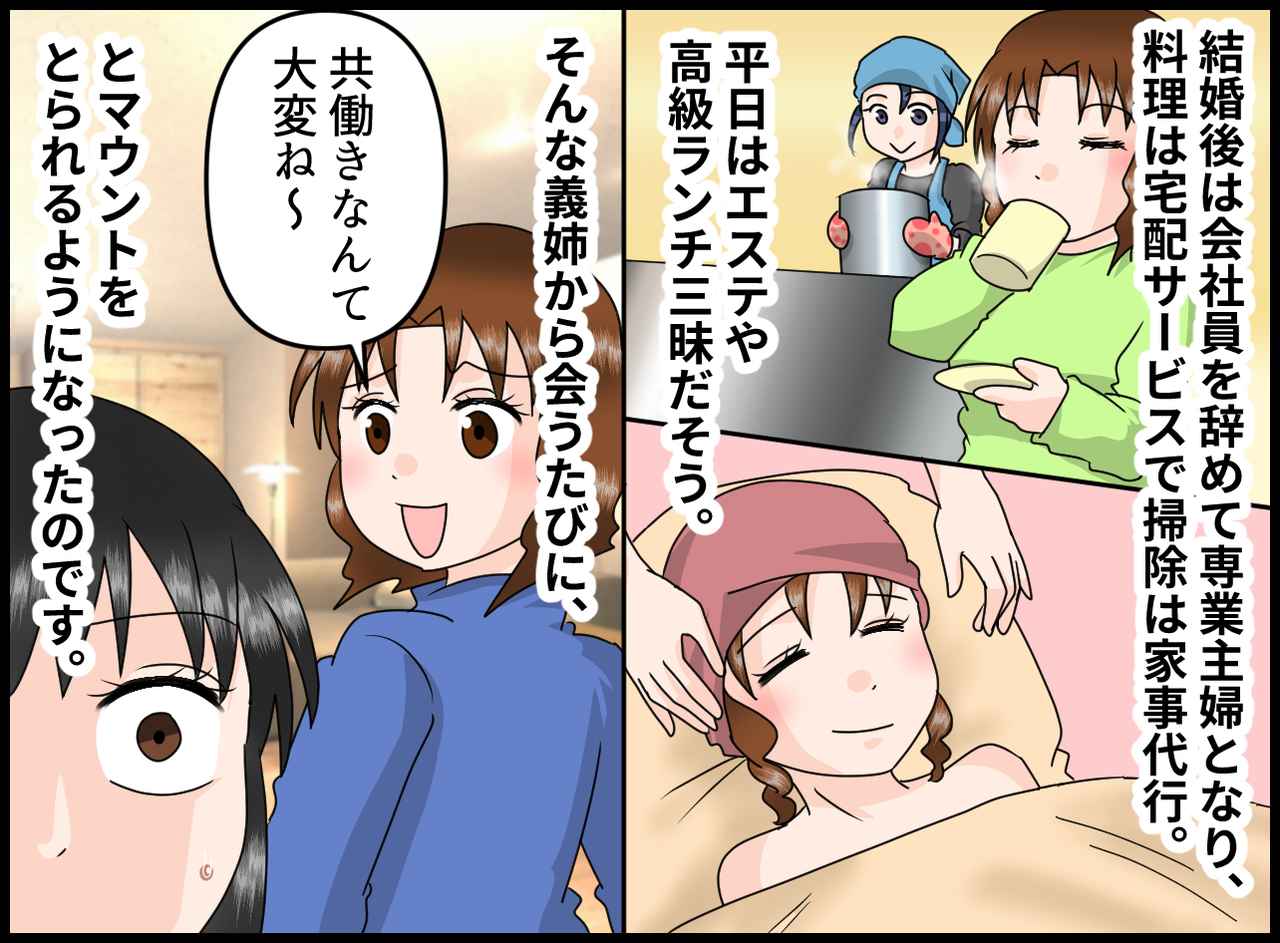 画像2: 義姉の夢は玉の輿