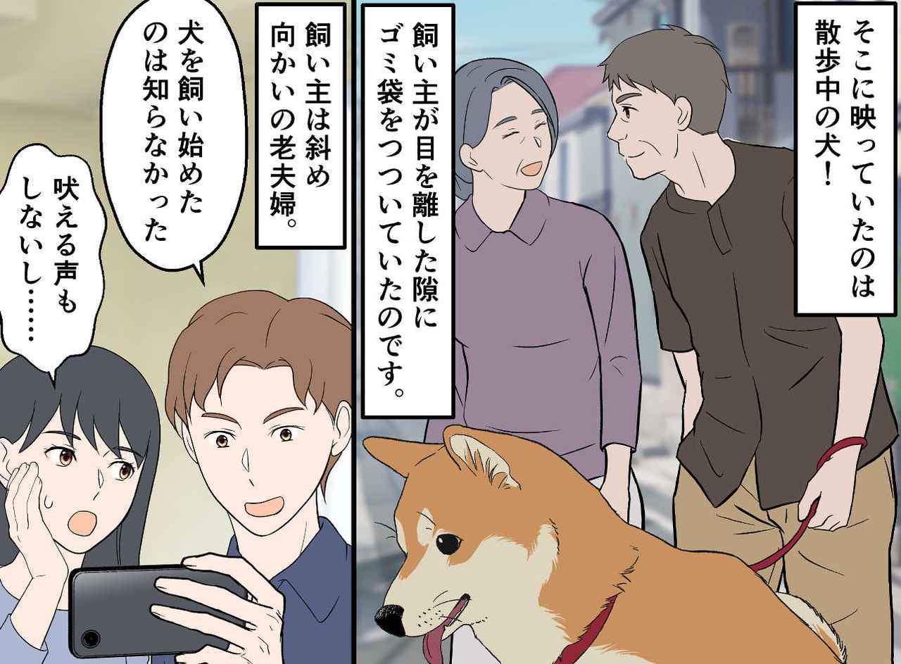 画像3: ゴミが荒らされている！