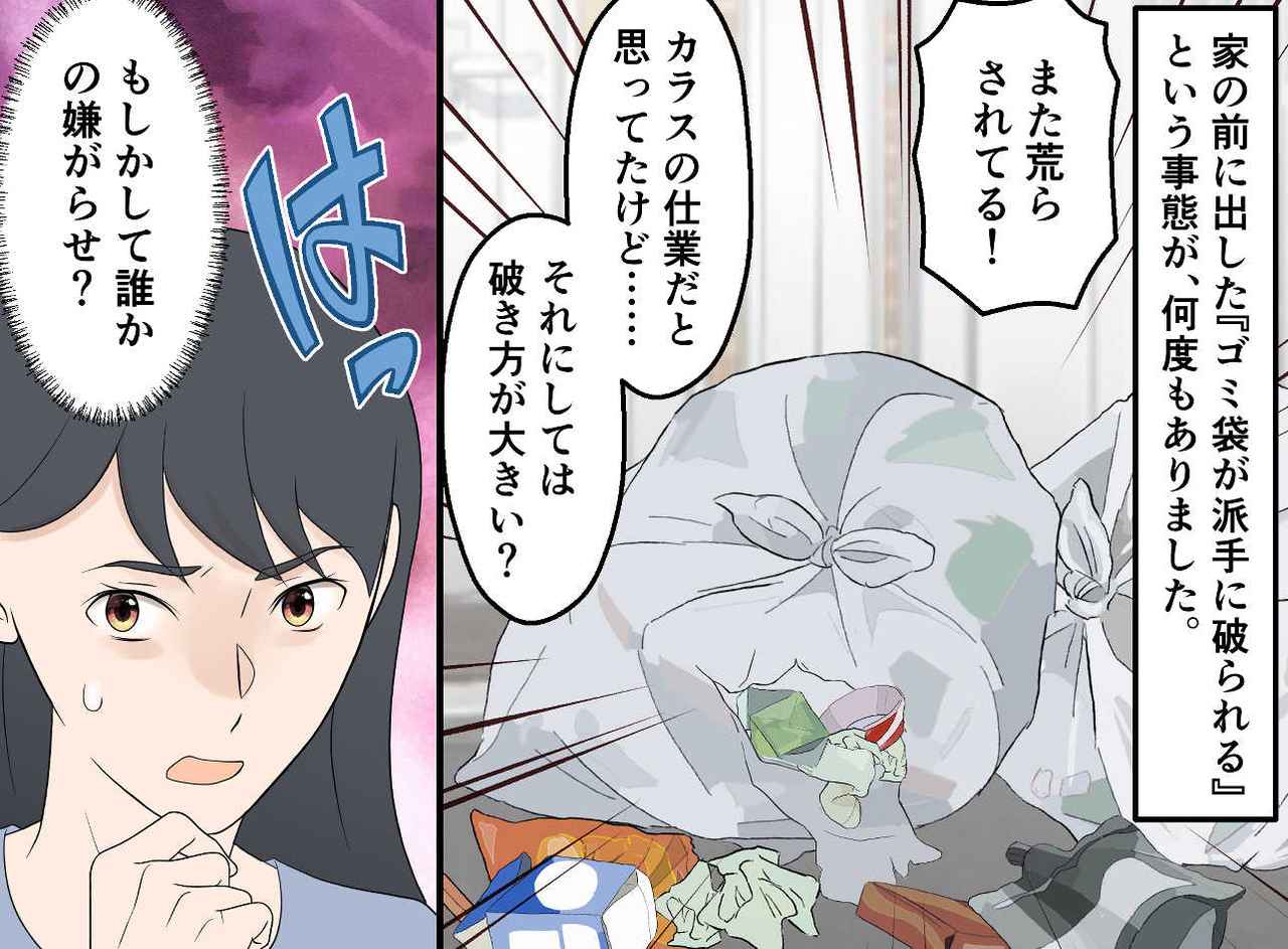 画像1: ゴミが荒らされている！