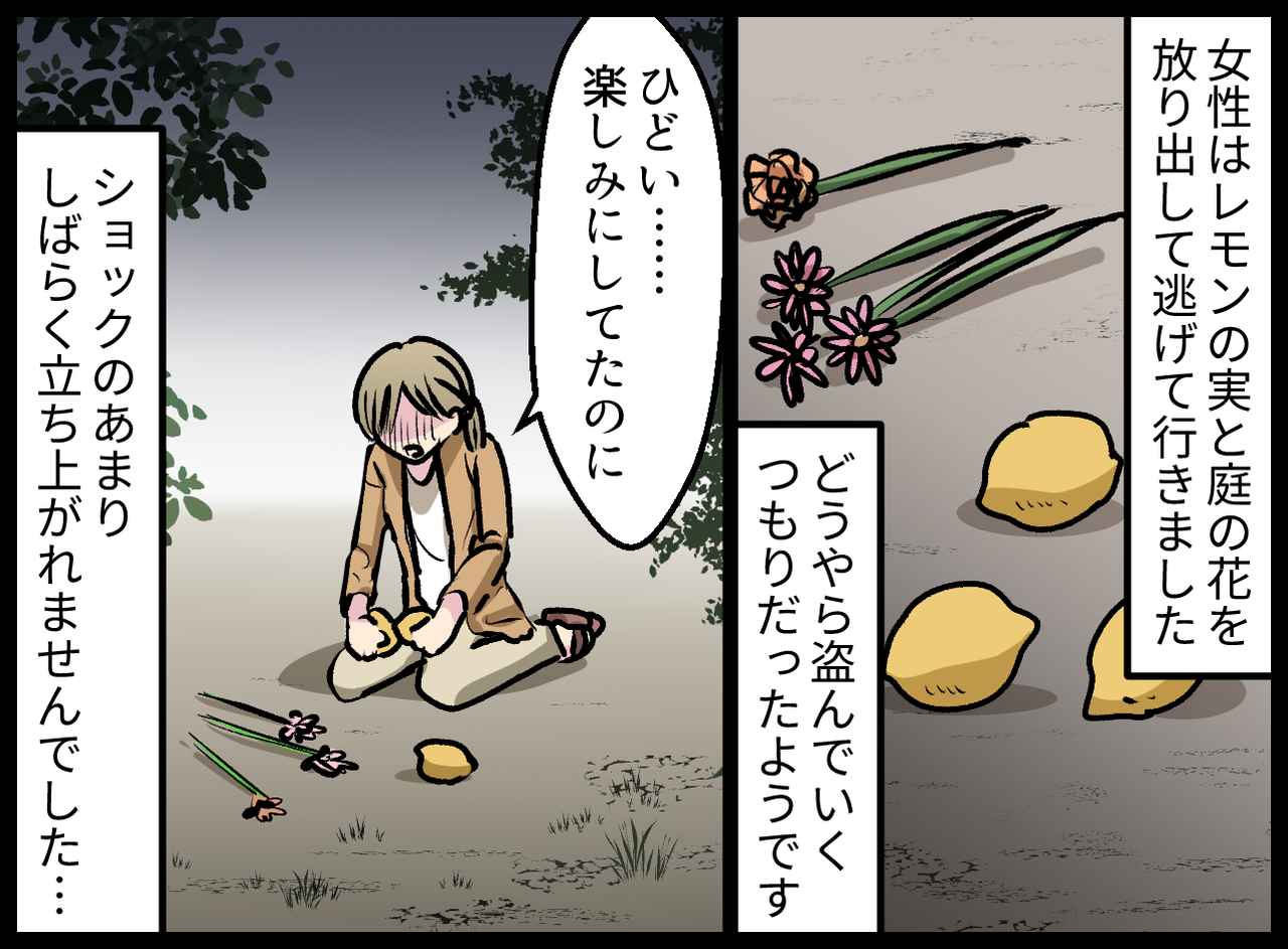 画像4: 4コマ漫画