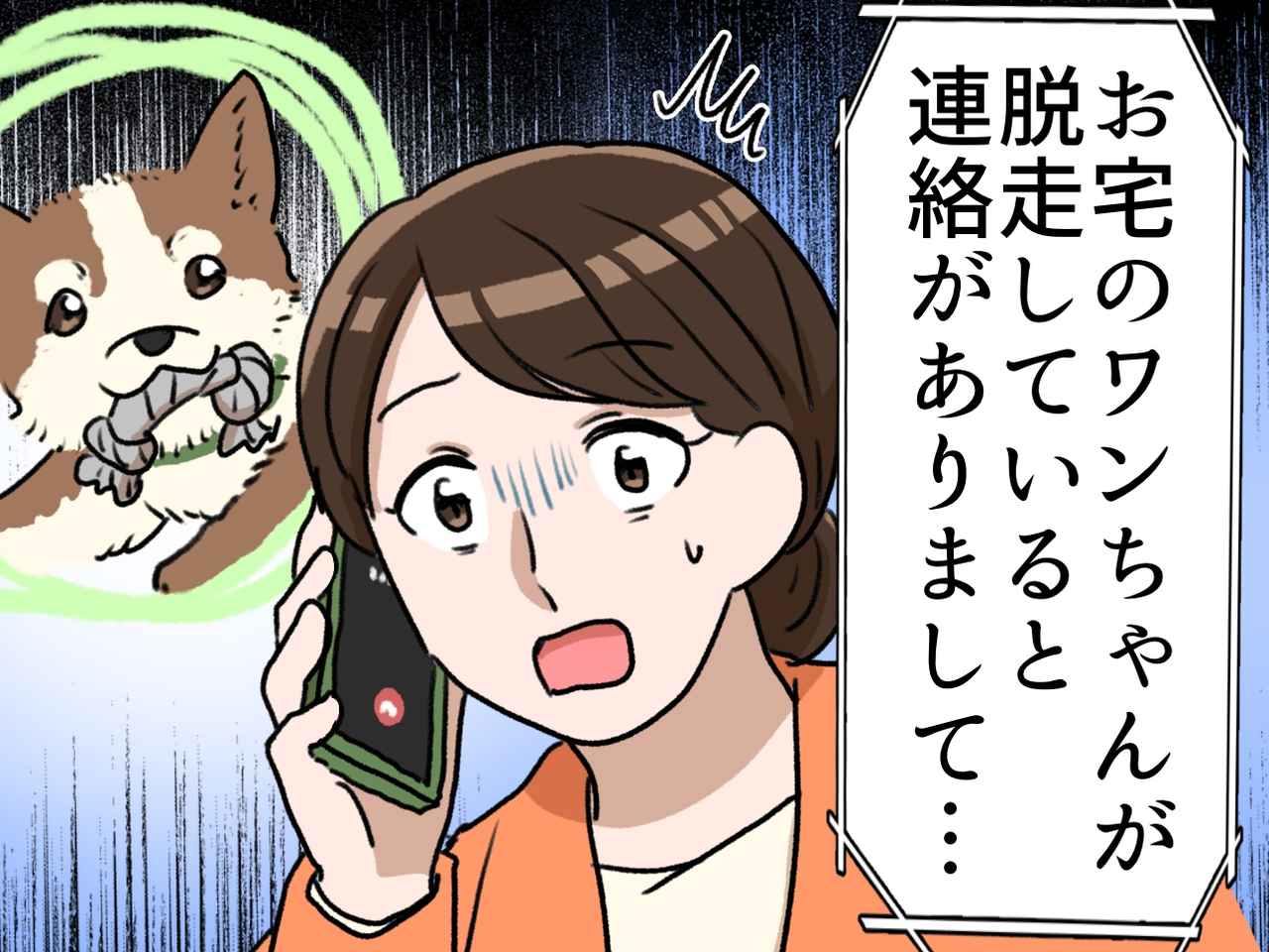 画像: 役所「お宅のワンちゃんが脱走している」え！？ 絶望する飼い主を救った、隣人の『粋なファインプレー』