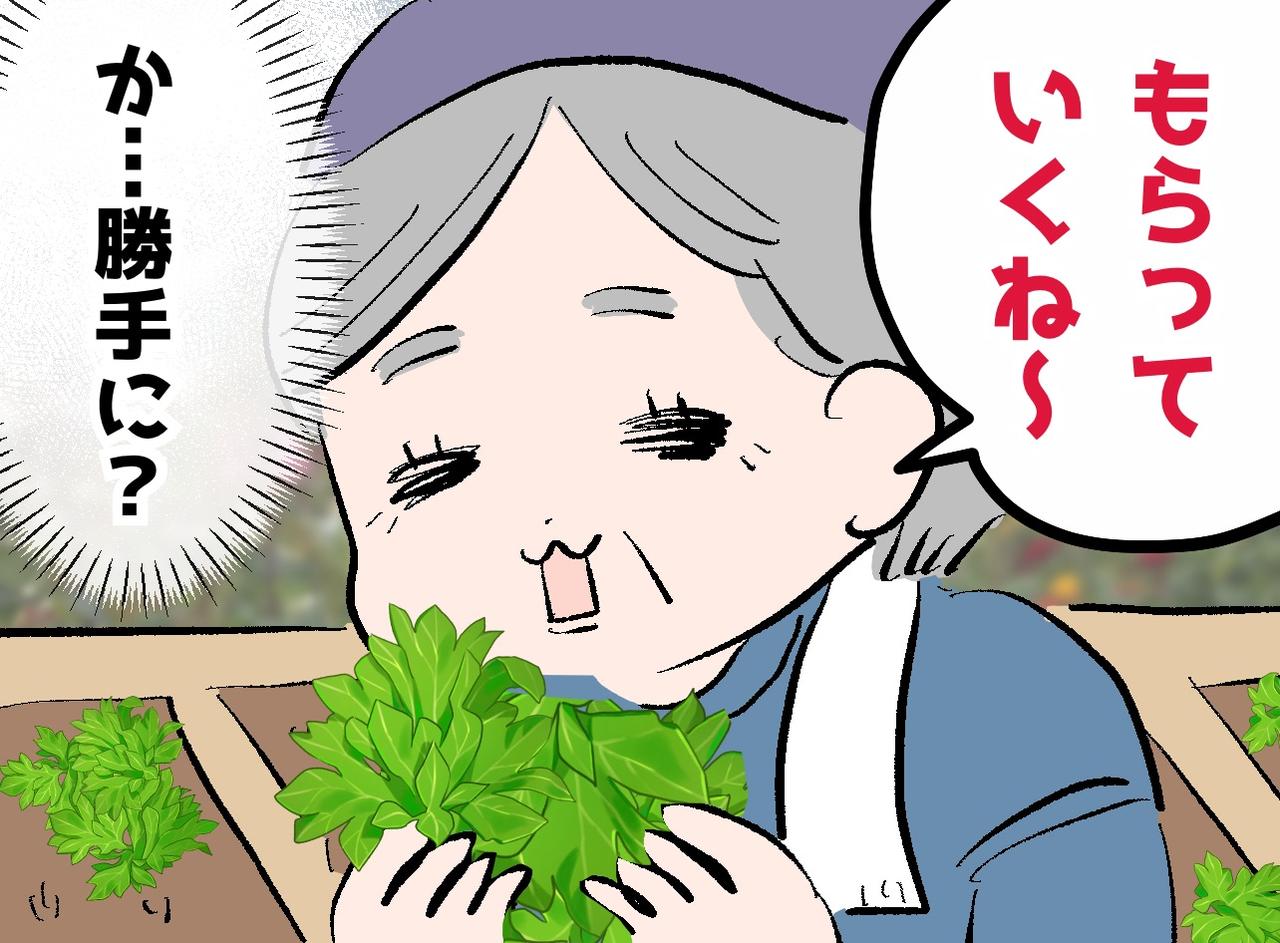 画像: 「近所の人がうちの野菜を勝手に取ってる」！？ 後日、母は隣人の畑へ向かい──『予想外の展開』に驚愕