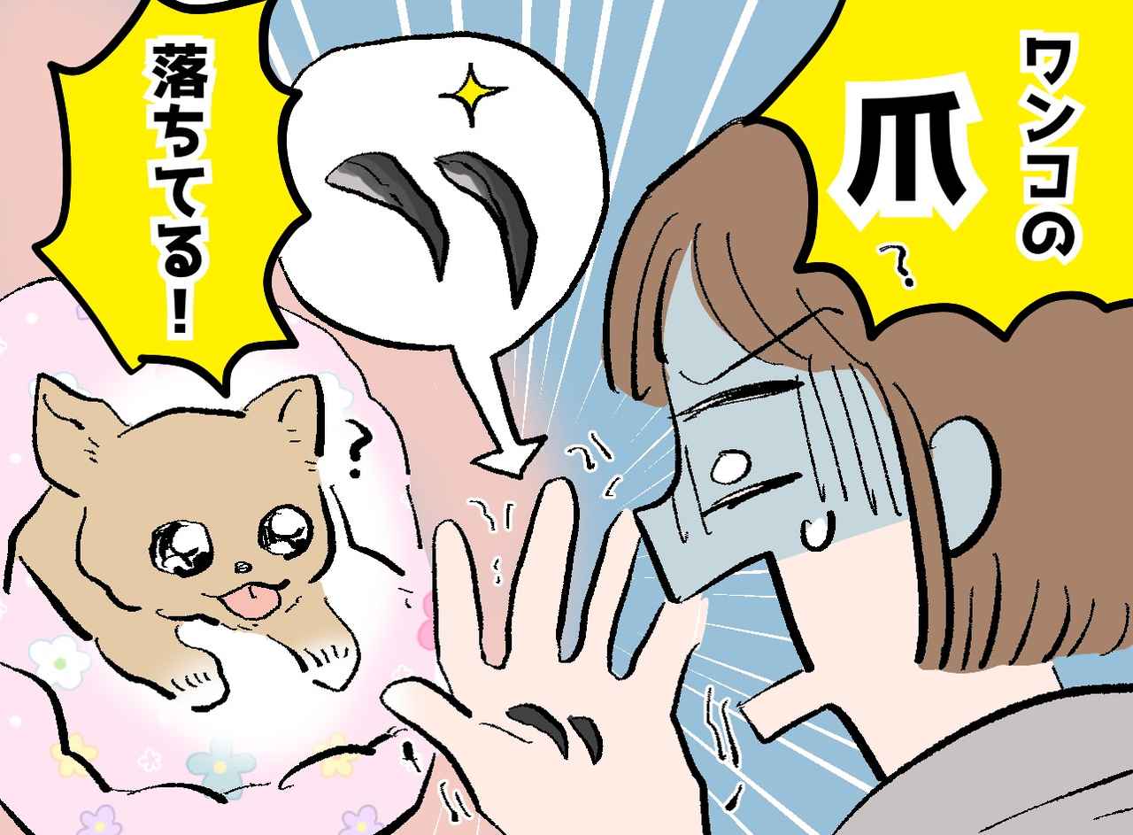 画像: 愛犬の布団から「2本の爪」が！？ 慌てて病院に駆け込むと『まさかの正体』に「恥ずかしすぎる」