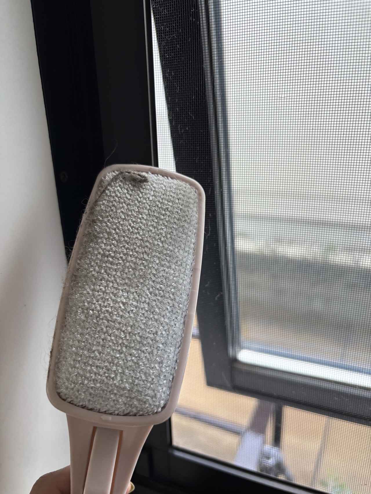 画像2: 水だけで網戸掃除に挑戦