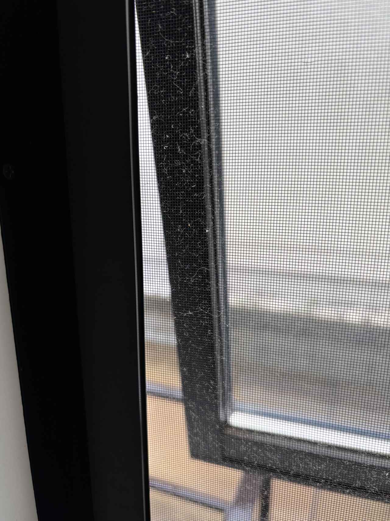 画像1: 水だけで網戸掃除に挑戦