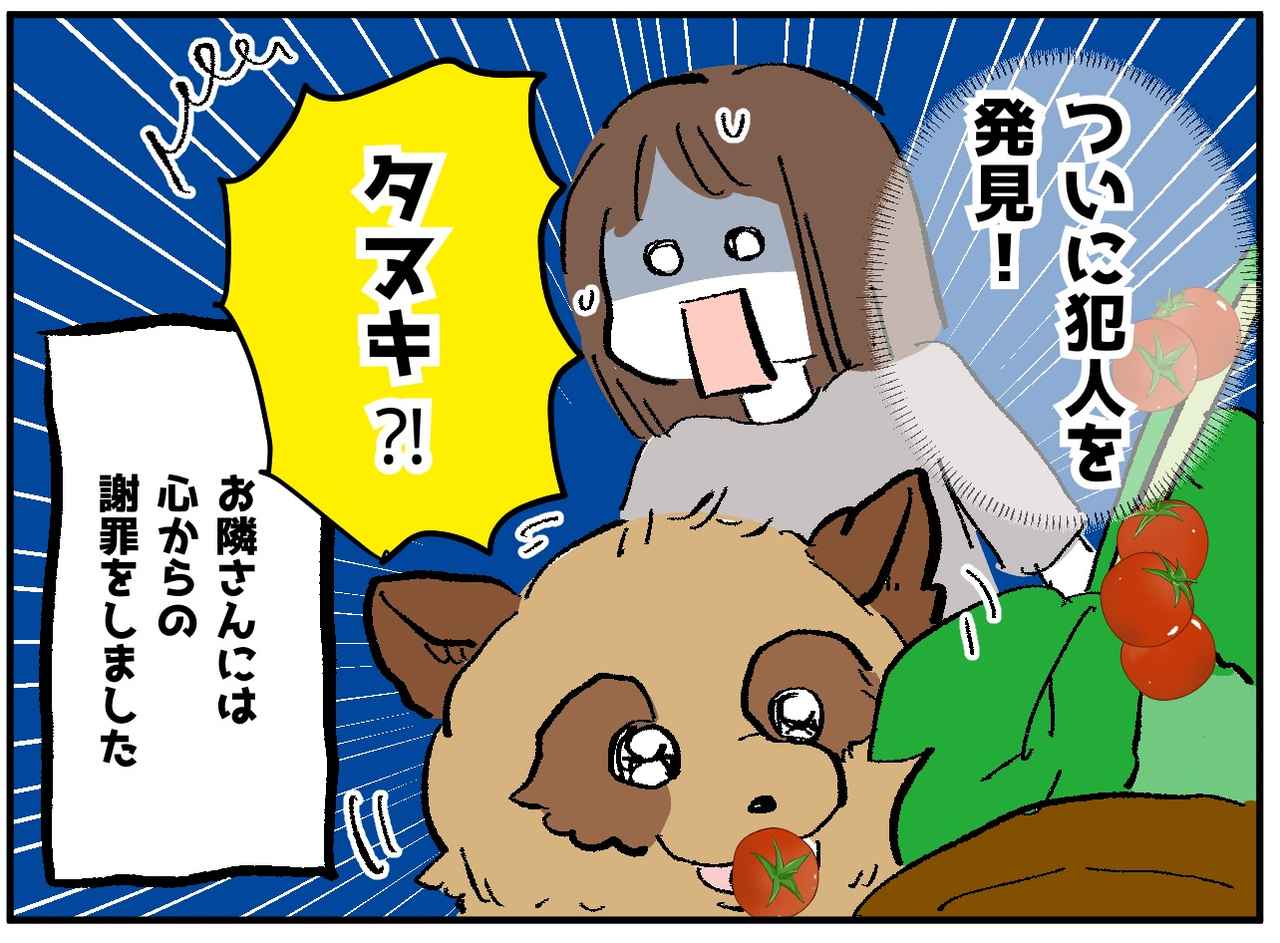 画像4: 【4コマ漫画】犯人は……？