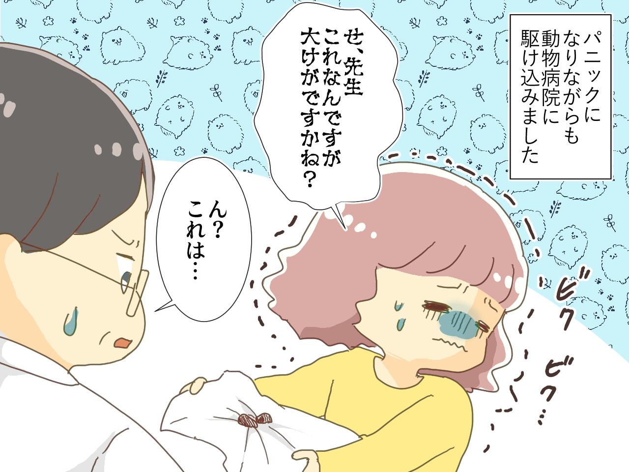 画像3: 【4コマ漫画】愛犬の布団に落ちていた黒い塊！大けがをしたのかと慌てる私に獣医が告げたその正体とは……！？