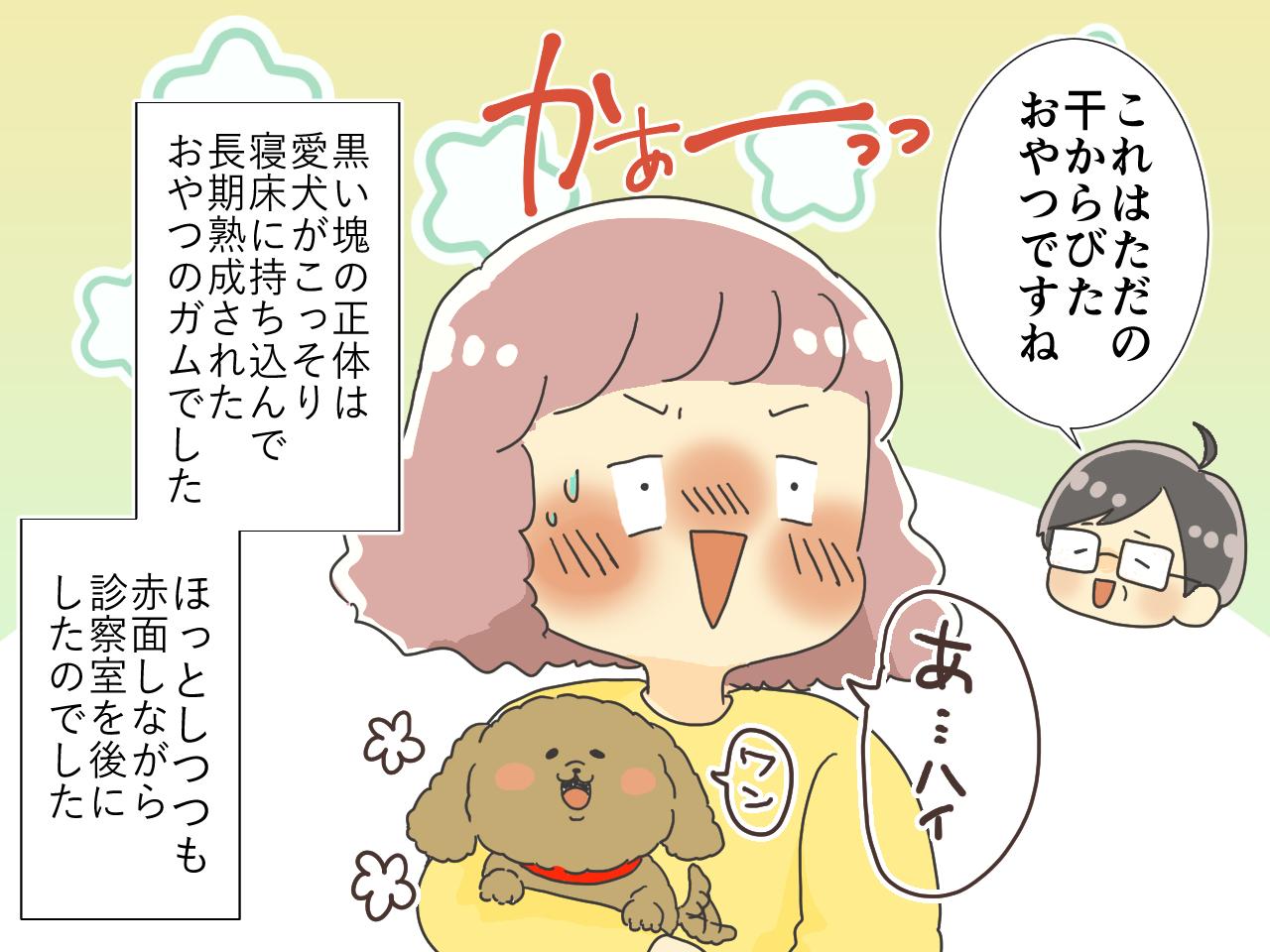 画像4: 【4コマ漫画】愛犬の布団に落ちていた黒い塊！大けがをしたのかと慌てる私に獣医が告げたその正体とは……！？