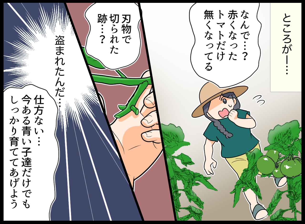 画像2: 【4コマ漫画】収穫が楽しみ～！