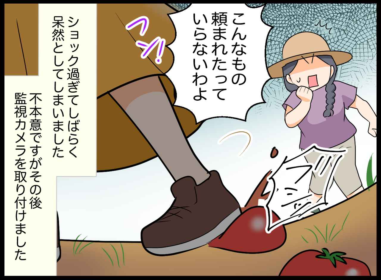 画像4: 【4コマ漫画】収穫が楽しみ～！
