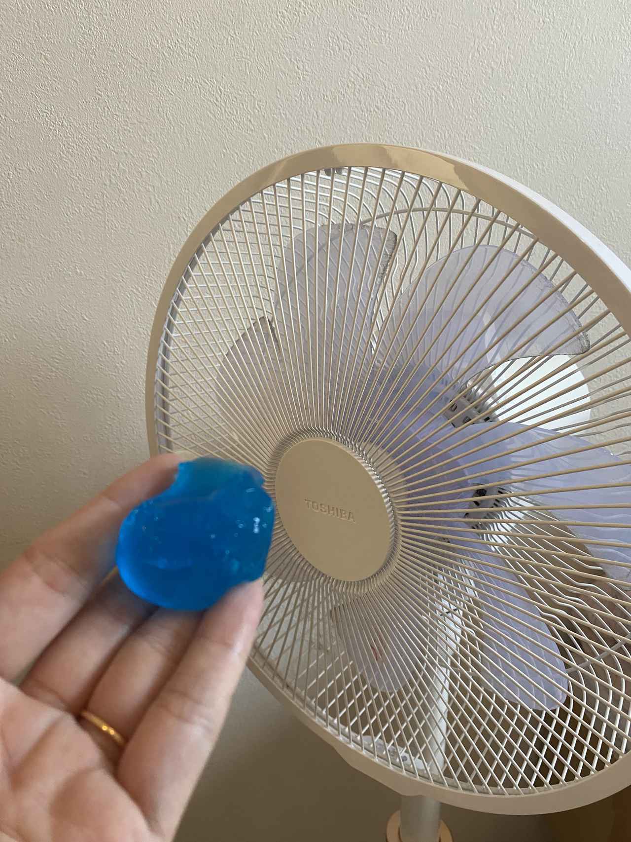 画像1: 扇風機掃除に使ってみた